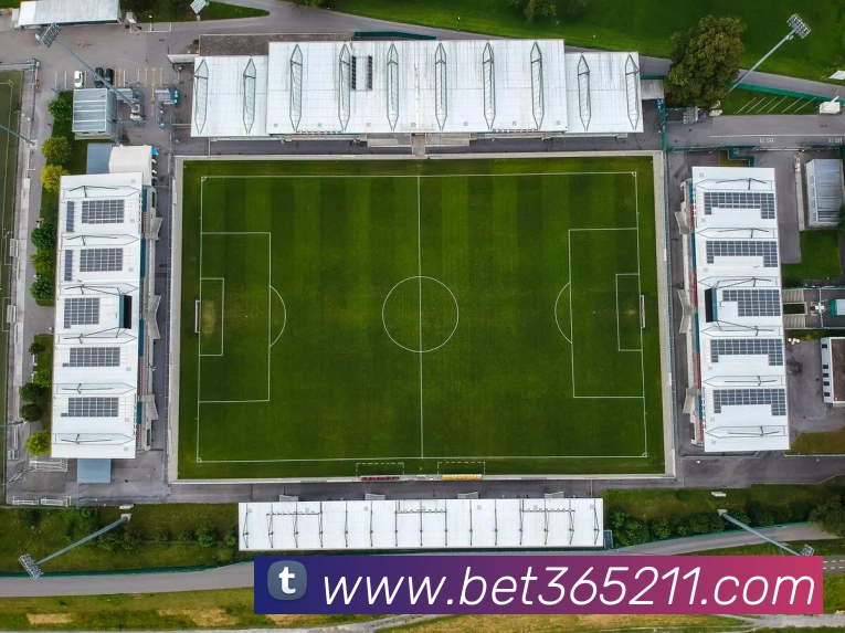bet365中国官网平台生态图
